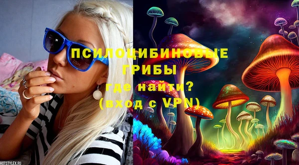 скорость Алексин