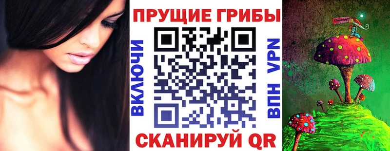 Псилоцибиновые грибы MAGIC MUSHROOMS  Советская Гавань 