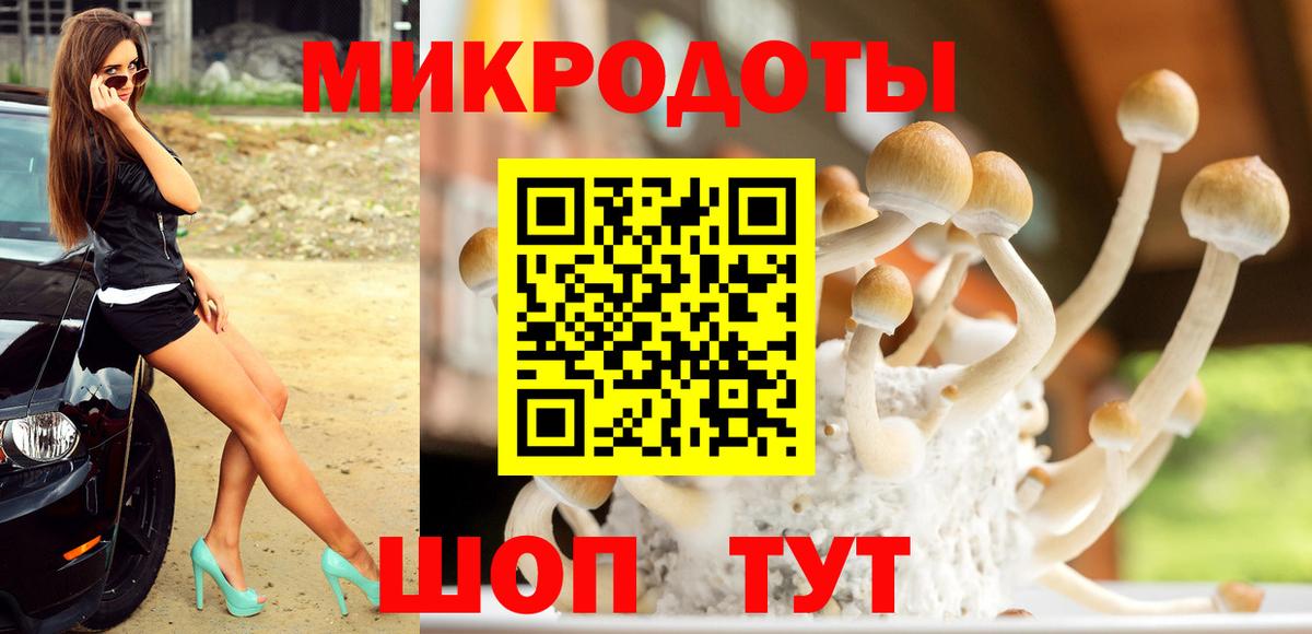 Галлюциногенные грибы мицелий  Вход с VPN  Советская Гавань 